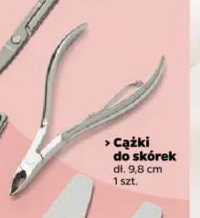cążki